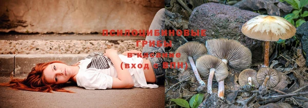 mix Бородино