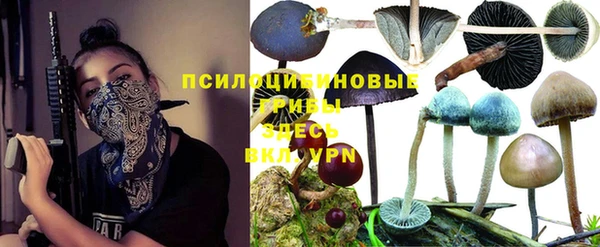 а пвп мука Бугульма