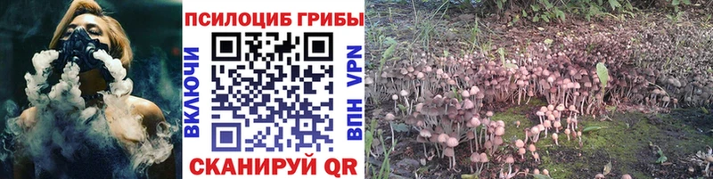 Псилоцибиновые грибы MAGIC MUSHROOMS  Купить  Кропоткин 